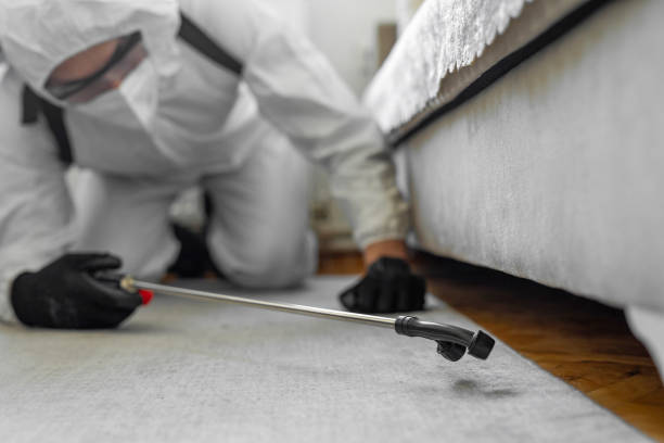 Professional Bed Bug Control technician working in Newhall, IA