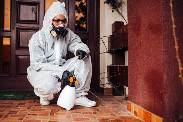 Reliable Bed Bug Control contractor in Newhall, IA by Nex Pest Control