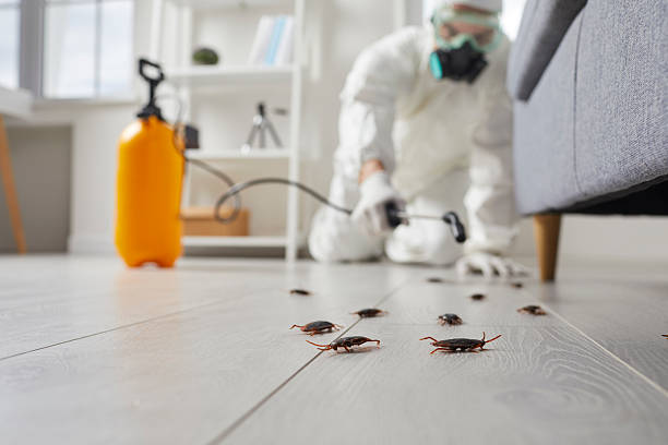 Trusted Fumigation Services service in Newhall, IA - Nex Pest Control