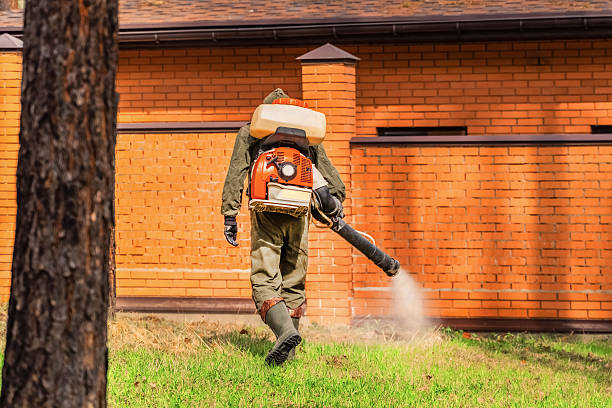 Trusted Ant Control service in Newhall, IA - Nex Pest Control
